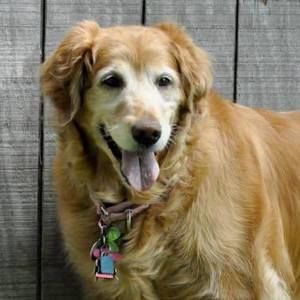 Meet your Posher, Jen